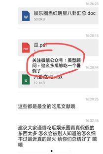 娱乐圈吃瓜pdf文件,PDF文件深度解析